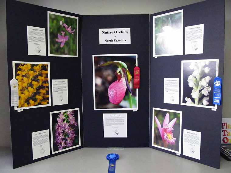 davd nc Native Orchid Display