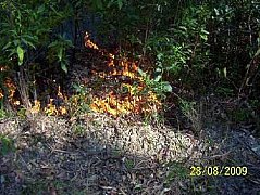 bulahdelah fire