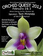 orchidquest2013150.jpg