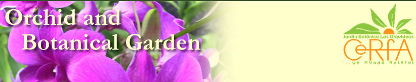 Jardin Botanico Las Orquideas