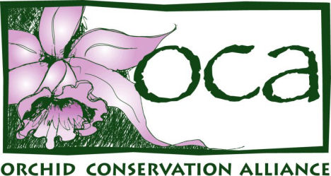 OCA Logo
