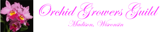 Orchid Growers Guild Logo