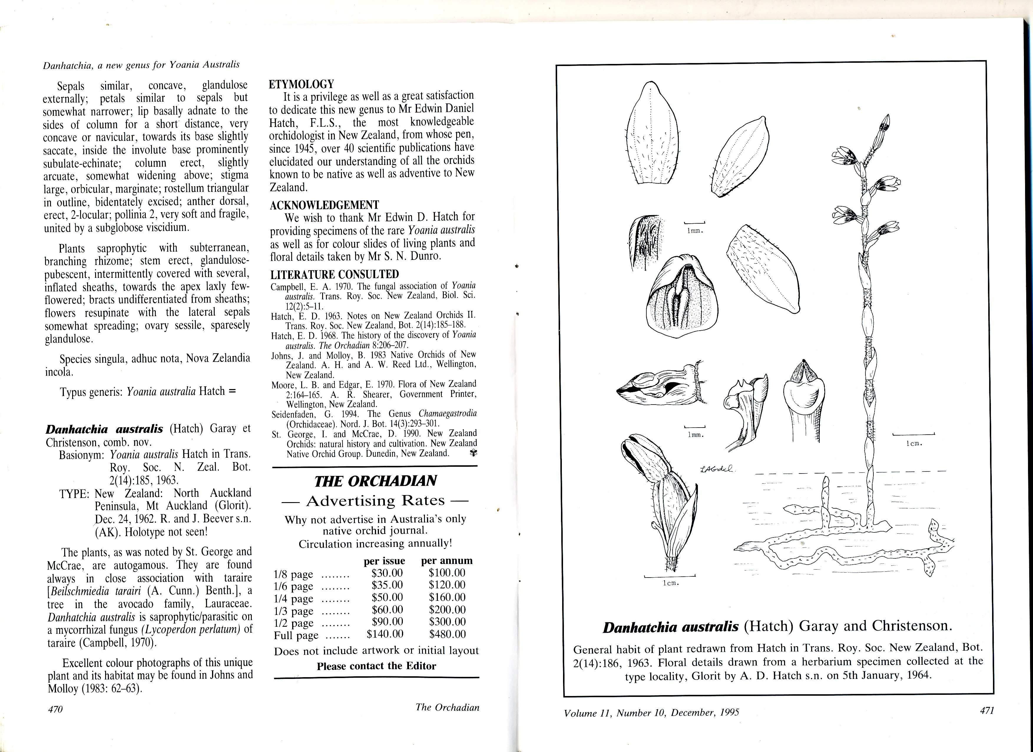 Danhatchia australis