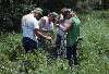 Consevation Corps planting
