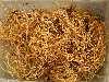 Cyp reginae roots