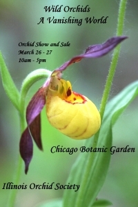 iso show poster 2011